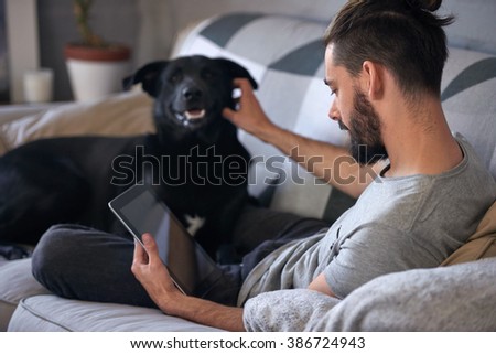 Dog owner petting and scratching his pet on the couch sofa, while surfing the internet on his tablet device, a loving affectionate relationship