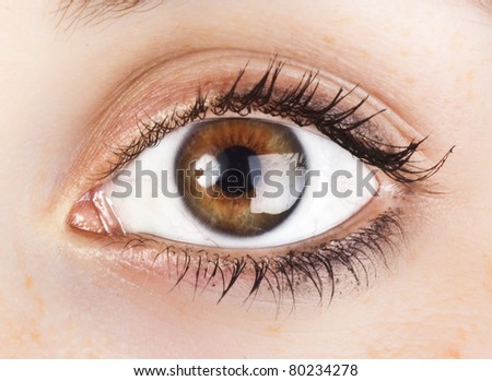 woman\'s brown eye