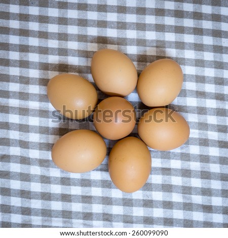 egg group on cloth plaid