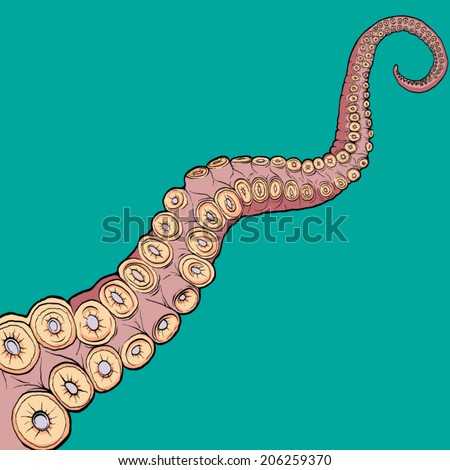 octopus tentacle, hand drawn, vector illustration - Stock Image - Everypixel