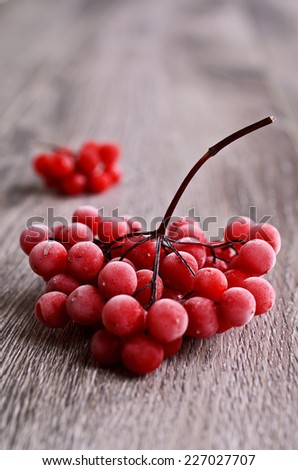 bunch of frozen berries of viburnum on a wooden surface