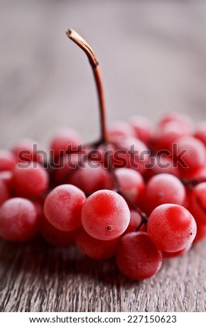 bunch of frozen berries of viburnum on a wooden surface