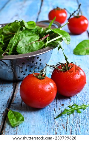 Fresh red tomatoes with water drops on old painted blue wooden surface against the green salad leaves in the colander