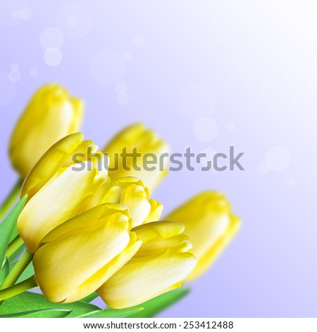 Yellow tulips. The collage. Background. The postcard. Text.
