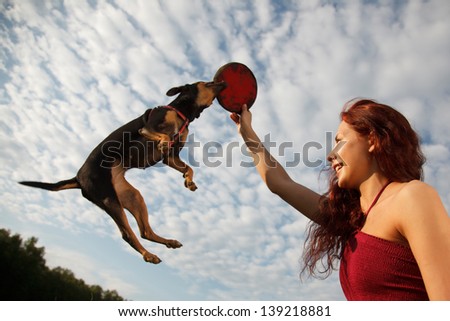 Beautiful young woman playing with her dog in park.Dog is jumping for her Frisbee