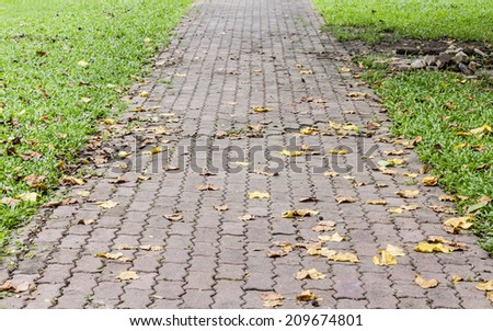 Cement bricks walk way with green grasses on both sides and some fall tree leave