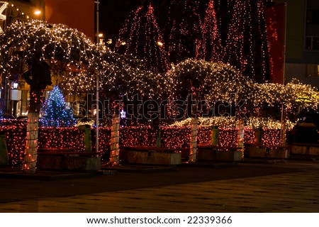 Trees in a plaza adorned with holiday lights
