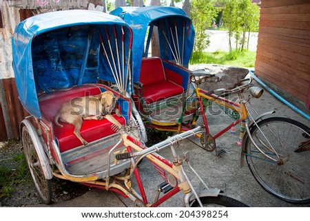 dog sleeping on the red seat in 3 wheels bike