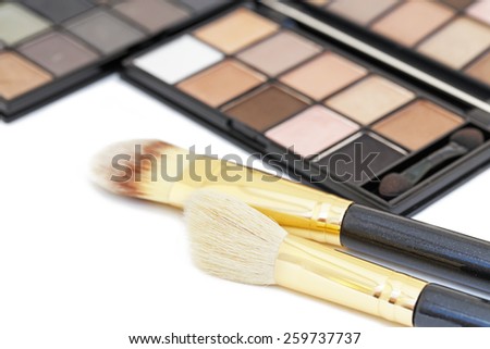Close up of a makeup kit. Eye-shadows with a powder brush.