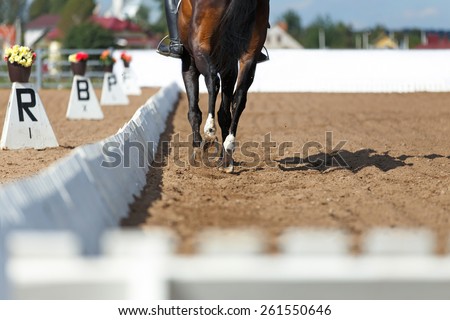Close up of the horse shoe in motion. Dressage competition.