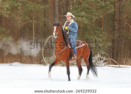 Man riding a beautiful bay horse in winter landscape.