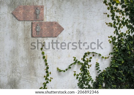 A climber plant on old concrete wall and toilet old steel filled rust sign
