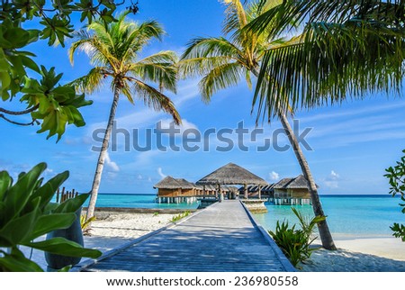 An image of wooden bridge used for walk to sea villa which have coconut trees as fore ground and blue sea and blue sky as background