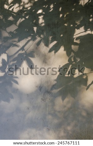 An image of shadow of leaf on cracked concrete wall