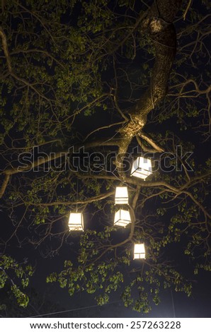 Lanterns hanging from tree to decorate. Made of wicker from bamboo. Equipment to catch a fish, a bird cage.