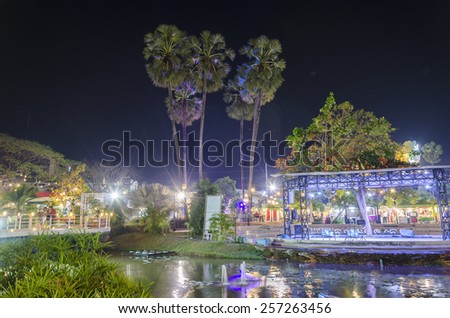 An image of sugar palm trees that shining with the light of LED lamps in the night and have reflection on water