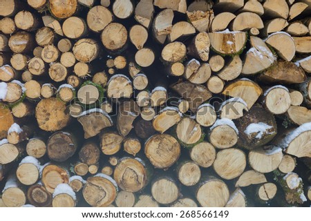 Woodpile from dry round fire wood in winter time
