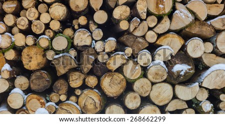 Woodpile from dry round fire wood in winter time