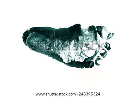 Imprint of children's feet on white paper (isolated)