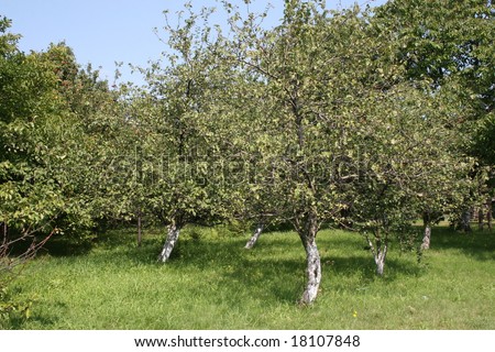 trees with fruits