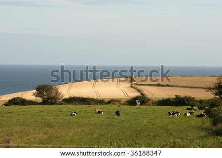 irish coast and farm