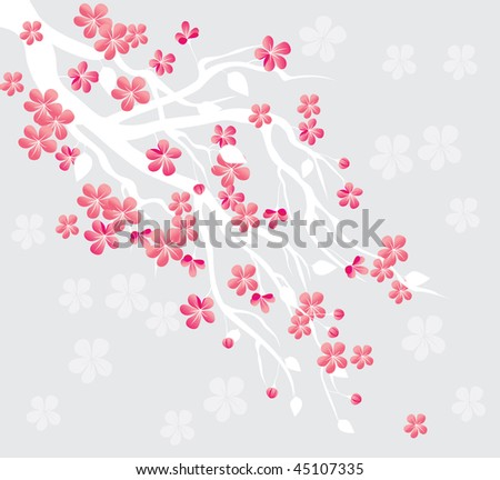 stock vector spring cherry blossom
