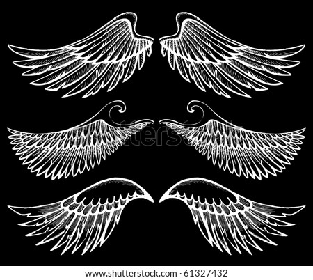 stock vector hand drawn wings