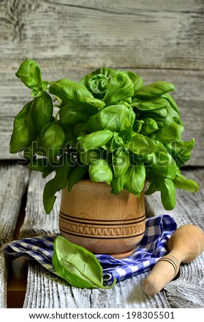 Bunch of basil in wooden mortar.