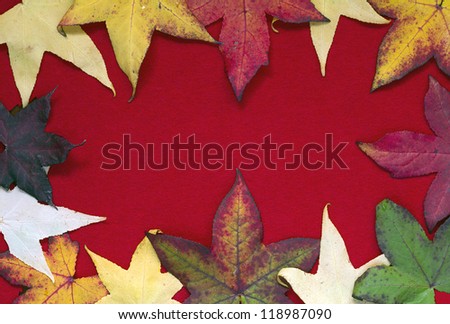 Frame from yellow, red and orange leaves on textured red background. Free space for text.