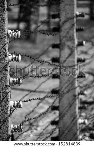 Auschwitz electric fence