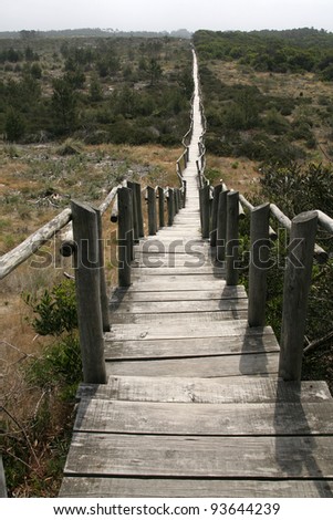 Wood Path, Aveiro, Portugal