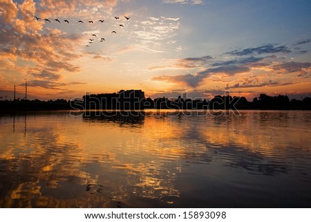 Sunrise over water with birds in v formation