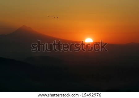 Geese flying & sunrise over Portland Oregon and Mt. Hood