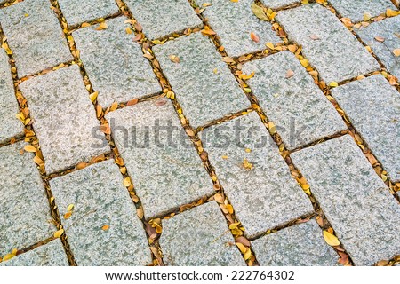 Background of Stone Tiles With Orange And Yellow Leaves Filling The Gaps Among The Stones. And Some Sun Light Spots Casting on The Ground.
