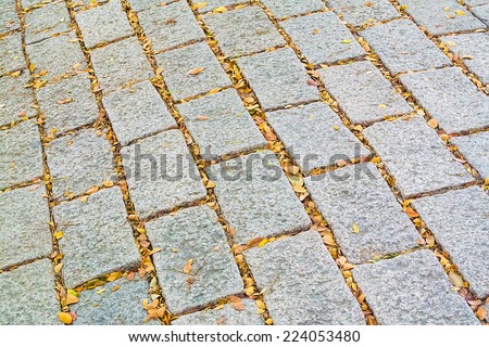 Background of Stone Tiles With Orange And Yellow Leaves Filling The Gaps Among The Stones.