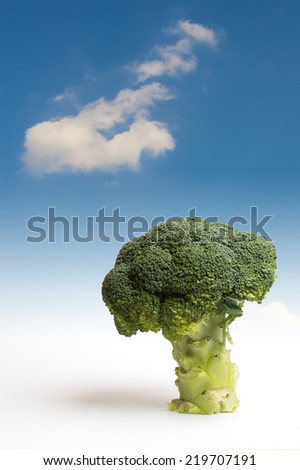 Tree of broccoli. Fantasy Landscape