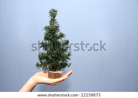 Christmas tree in hand