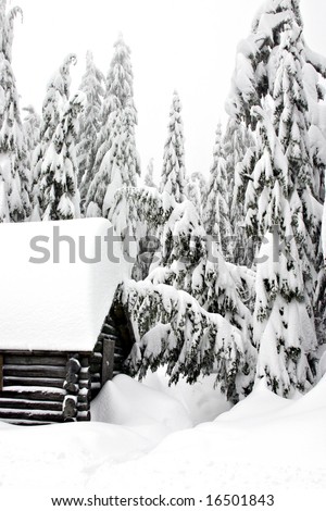 A lonely winter cottage in the deep woods