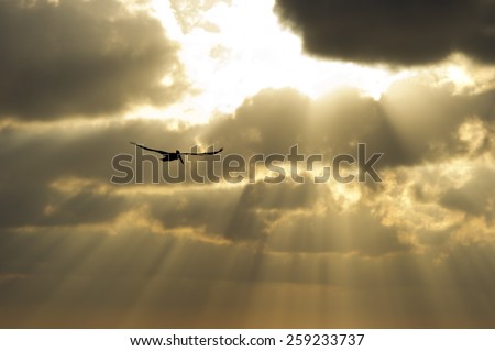 The suns rays break through the clouds as a single soul soars by.