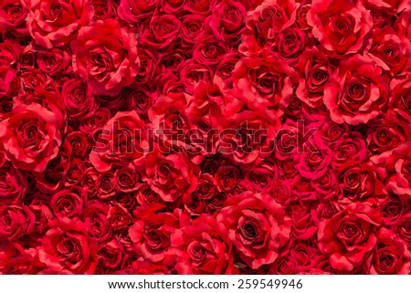 Rose are red,there are make from the fabric.(artificial rose)