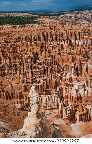 Bryce Canyon, USA - June 25, 2009: Vertical panorama that shows a densely populated area of geological structures known as fairy chimneys.