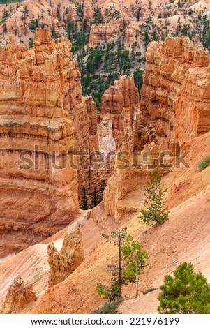 Bryce Canyon, USA - June 25, 2009: Detail of the base of the geological structures known as fairy chimneys.