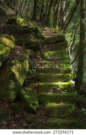 Monfero, Spain - April 1, 2015: Old stone staircase on a trail through the woods, mossy and illuminated by faint sunlight.