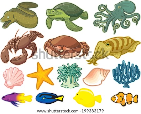 Sea Creatures Sea Creatures