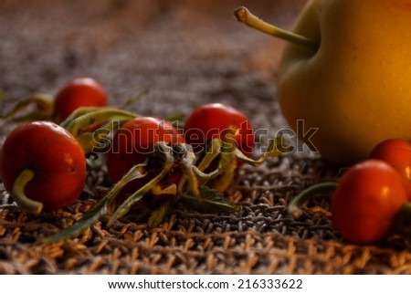 Autumn still life. Rose hips and an apple on the table.