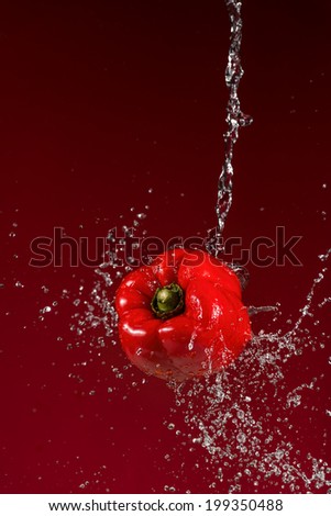 Red Pepper Splash on Red Background