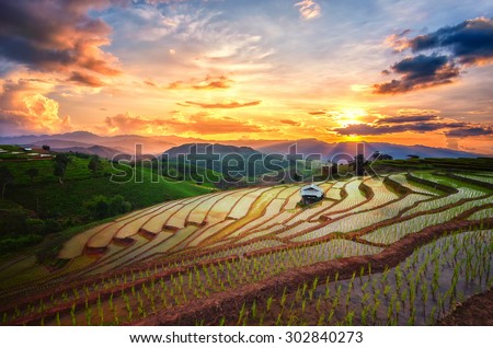 Terraced Paddy Field in Mae-Jam Village , Chaingmai Province , Thailand