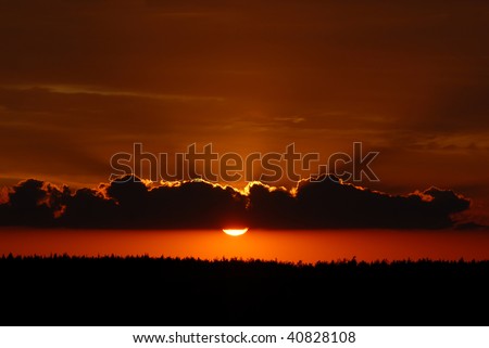 red sunset with dark clouds  and black forest silhouette