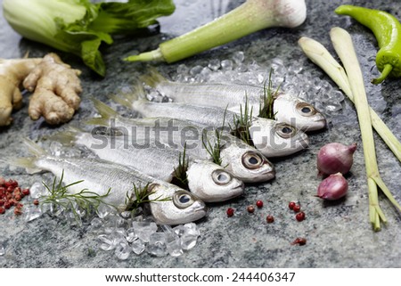 Sardines raw on ice with herbs and vegetables