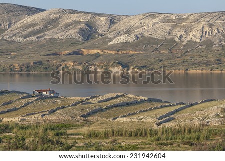 Dry walls in landscape on island Pag, Croatia